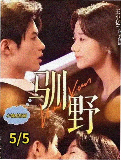 剧集巷口杂货铺海报占位图